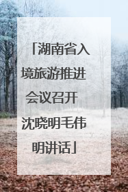 湖南省入境旅游推进会议召开 沈晓明毛伟明讲话