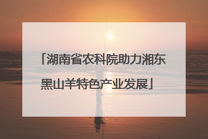 湖南省农科院助力湘东黑山羊特色产业发展