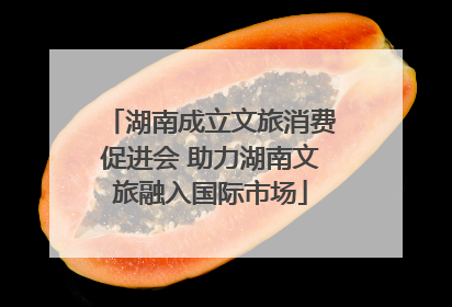 湖南成立文旅消费促进会 助力湖南文旅融入国际市场