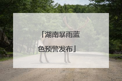 湖南暴雨蓝色预警发布