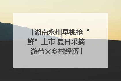 湖南永州早桃抢“鲜”上市 夏日采摘游带火乡村经济
