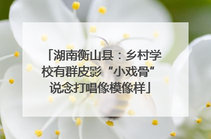 湖南衡山县：乡村学校有群皮影“小戏骨” 说念打唱像模像样