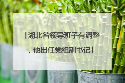 湖北省领导班子有调整，他出任党组副书记