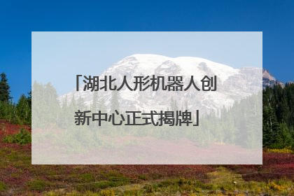 湖北人形机器人创新中心正式揭牌