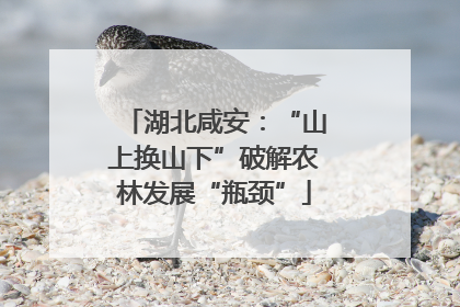 湖北咸安：“山上换山下”破解农林发展“瓶颈”
