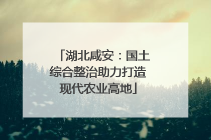 湖北咸安：国土综合整治助力打造现代农业高地