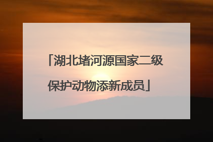 湖北堵河源国家二级保护动物添新成员