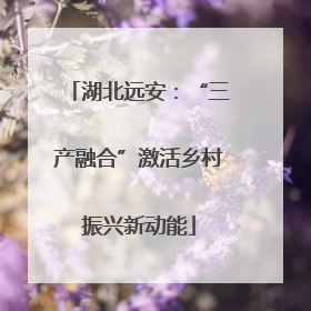 湖北远安：“三产融合”激活乡村振兴新动能
