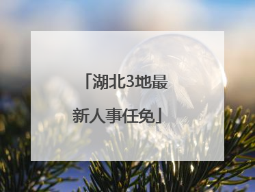 湖北3地最新人事任免