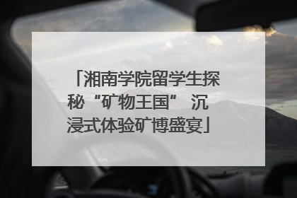 湘南学院留学生探秘“矿物王国” 沉浸式体验矿博盛宴