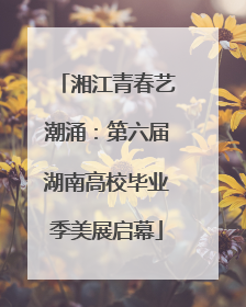 湘江青春艺潮涌：第六届湖南高校毕业季美展启幕