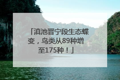 滇池晋宁段生态蝶变，鸟类从89种增至175种！