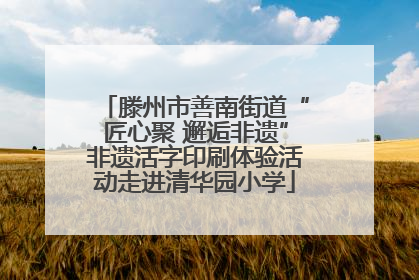滕州市善南街道“匠心聚 邂逅非遗”非遗活字印刷体验活动走进清华园小学