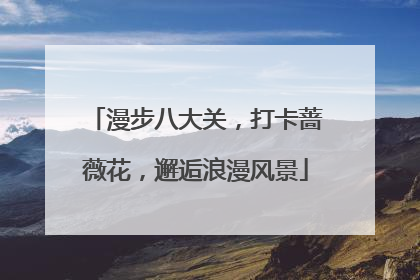 漫步八大关，打卡蔷薇花，邂逅浪漫风景