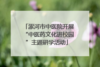 漯河市中医院开展“中医药文化进校园”主题研学活动