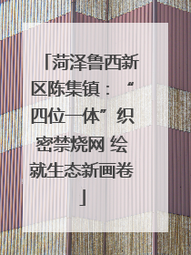 菏泽鲁西新区陈集镇：“四位一体”织密禁烧网 绘就生态新画卷