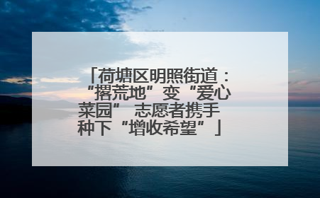 荷塘区明照街道：“撂荒地”变“爱心菜园” 志愿者携手种下“增收希望”