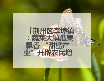 荆州区李埠镇：蔬菜大镇瓜果飘香 “甜蜜产业”开辟农民增收“新赛道”