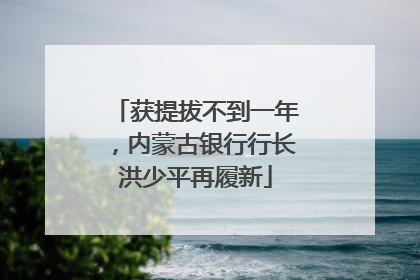 获提拔不到一年，内蒙古银行行长洪少平再履新