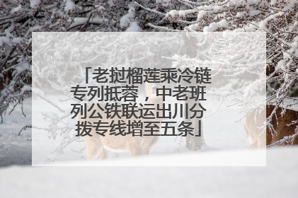 老挝榴莲乘冷链专列抵蓉，中老班列公铁联运出川分拨专线增至五条