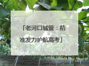 老河口城管：精准发力护航高考