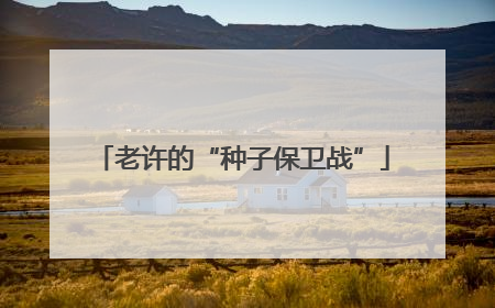 老许的“种子保卫战”