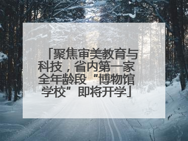 聚焦审美教育与科技，省内第一家全年龄段“博物馆学校”即将开学
