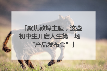 聚焦敦煌主题，这些初中生开启人生第一场“产品发布会”