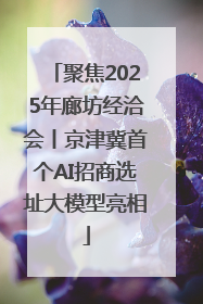 聚焦2025年廊坊经洽会丨京津冀首个AI招商选址大模型亮相