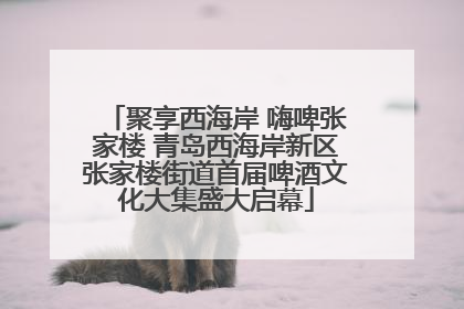 聚享西海岸 嗨啤张家楼 青岛西海岸新区张家楼街道首届啤酒文化大集盛大启幕