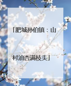 肥城孙伯镇：山村油杏满枝头