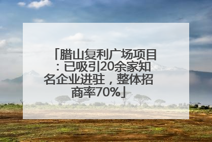 腊山复利广场项目：已吸引20余家知名企业进驻，整体招商率70%