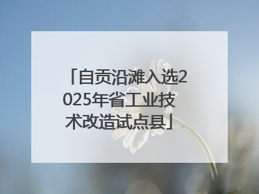 自贡沿滩入选2025年省工业技术改造试点县