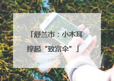 舒兰市：小木耳撑起“致富伞”