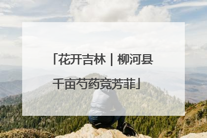 花开吉林｜柳河县千亩芍药竞芳菲