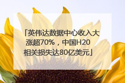 英伟达数据中心收入大涨超70%，中国H20相关损失达80亿美元