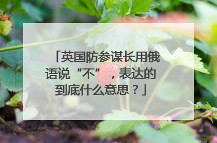 英国防参谋长用俄语说“不”，表达的到底什么意思？