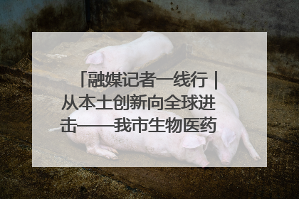 融媒记者一线行｜从本土创新向全球进击——我市生物医药产业破茧突围