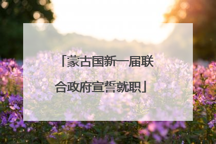 蒙古国新一届联合政府宣誓就职