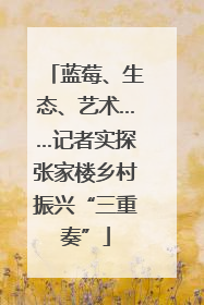 蓝莓、生态、艺术……记者实探张家楼乡村振兴“三重奏”