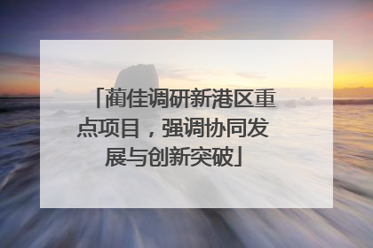 蔺佳调研新港区重点项目，强调协同发展与创新突破