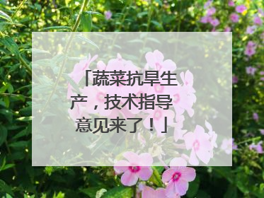 蔬菜抗旱生产，技术指导意见来了！