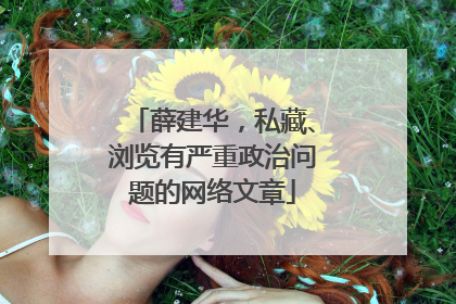 薛建华，私藏、浏览有严重政治问题的网络文章
