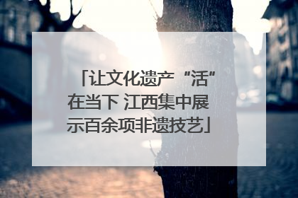 让文化遗产“活”在当下 江西集中展示百余项非遗技艺