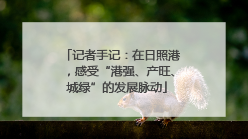 记者手记：在日照港，感受“港强、产旺、城绿”的发展脉动