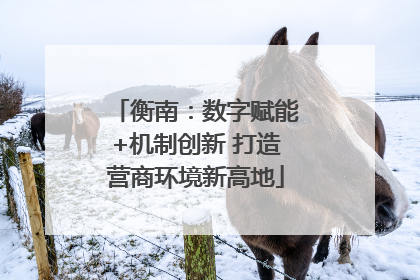 衡南：数字赋能+机制创新 打造营商环境新高地