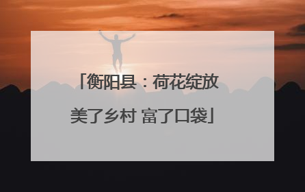 衡阳县：荷花绽放 美了乡村 富了口袋