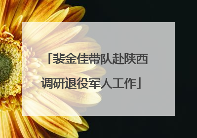 裴金佳带队赴陕西调研退役军人工作