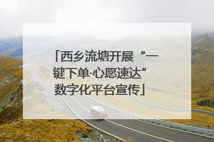 西乡流塘开展“一键下单·心愿速达”数字化平台宣传