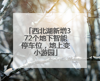 西北湖新增372个地下智能停车位，地上变小游园